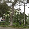 UPCI - Universidad Peruana de Ciencias e Informática