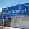 Instituto Agustina Bermejo