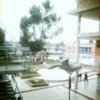 Gimnasio Los Pinos