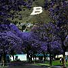 CEBA - Centro Escolar Benemérito de las Américas 