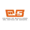 Colegio de Bachilleres del Estado de Sonora