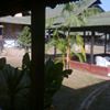 Escola Estadual Lindaura Martins Leitão