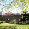 The International School