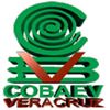 COBAEV 17 - Jáltipan