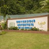 UAA - Universidad Adventista de las Antillas