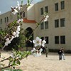 Al-Arab Medical University