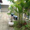 Celem - Centro de Línguas Estrangeiras Modernas