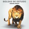 Colégio Jesus Adolescente - Anglo