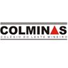 COLMINAS - Colégio do Leste Mineiro