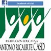 Institución Educativa Antonio Ricaurte CASD