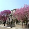 Escuela Normal Dr. José Alfredo Ferreira