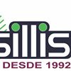 Brasillis - Centro de Idiomas