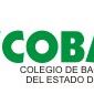 COBAEP Plantel 10