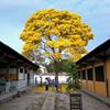Centro Educacional Raimundo Araújo