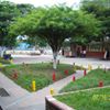 Institución Educativa Marino Renjifo Salcedo