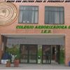 Colegio Arborizadora Baja I.E.D
