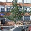 IES Juan de Garay