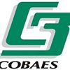COBAES 32 - Prof.. Higinio G. Maciel
