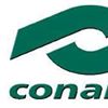 CONALEP - Colegio Nacional de Educación Profesional Técnica - Ciudad Juárez II