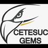 Preparatoria GEMS
