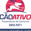 Cão Ativo