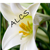Abundant Life Christian School