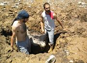 Horacio Agustin  Correa