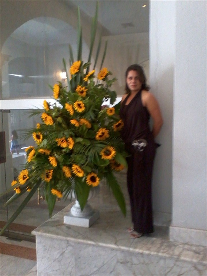 Nohemy De Diego jimenez