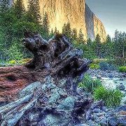 Fernando Calvo Sanchez