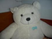 Claudia Marcela  Zapata Aristizabal