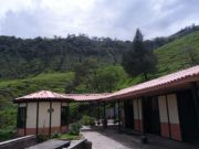 Seider  Paz Portilla