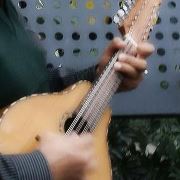 Marco Antonio  Alvarado