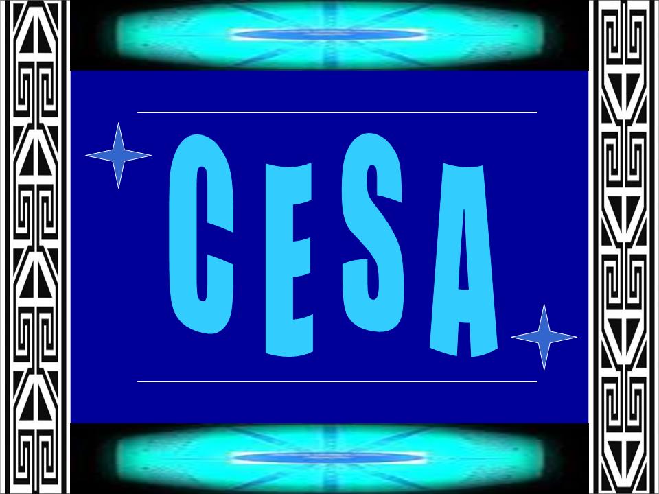 CESA - Centro de Estudios Sociales Argentino
