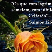 Fátima  Santos Souza