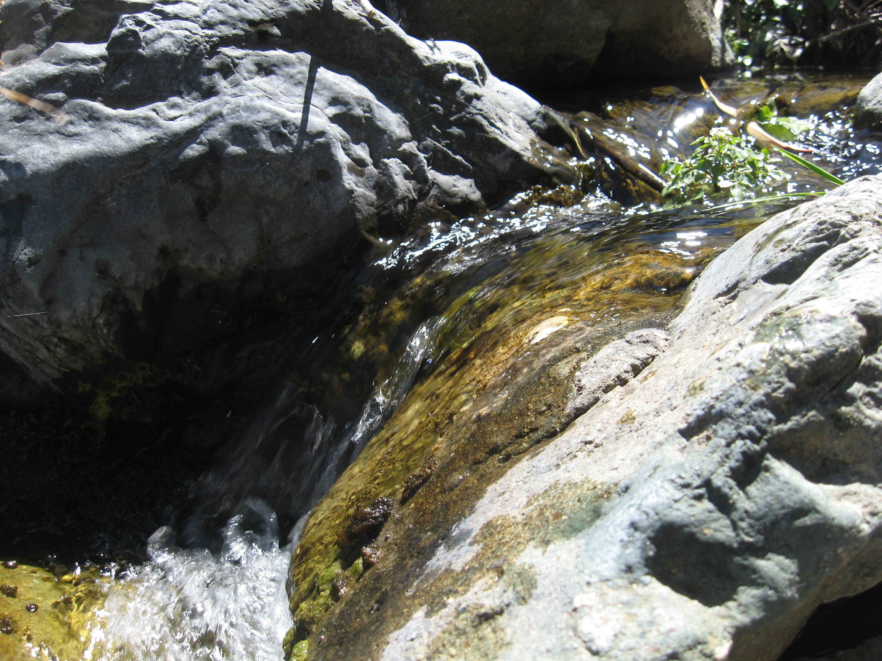 Karen  Santis Guajardo