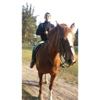 Josué  Torres Gaitán