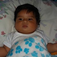 Daniel Fernando  T Molina