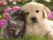 Luz Margarita  Alzate Vasquez 