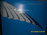 Jorge Toti  Perez Gonzalez