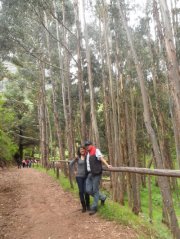 Ambar Dina  Reza Tapia