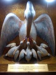 Jose Wilmar Medina Gomez