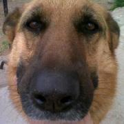 María Paz Muñoz Gajardo