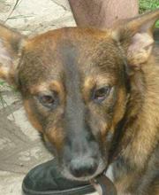 Veronica  Fernandez Calvo