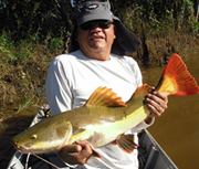 Francisco Alberto  Praialima