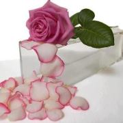 Juliana Andrea Ayala Castro