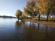 Graciela Monica  Tello