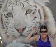 Nancy Magdalena  Cañizares Mora