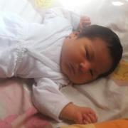 Luis Alberto  Magallanes Vega