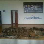 Dany Franklin  Quiroz Vera