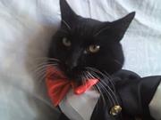 Kat  Guzmán Nateros